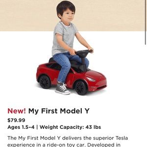 Tesla Radio Flyer for your little one!
